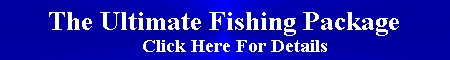 fishbnr.jpg (11316 bytes)